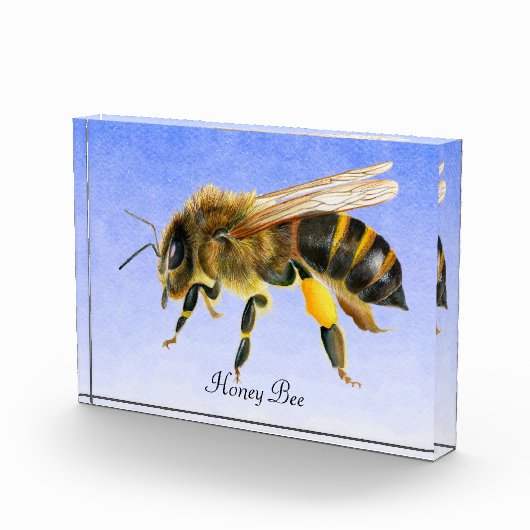 Waterverf honingbijen Fotoblok schilderen (Rechts)