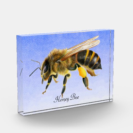 Waterverf honingbijen Fotoblok schilderen (Links)