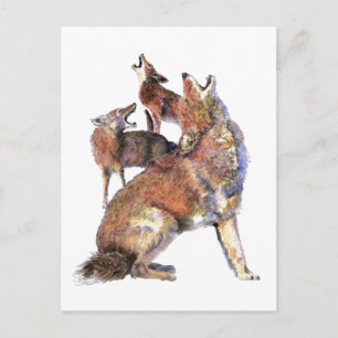 Waterverf Howling Coyotes Animal Natuur Art Briefkaart