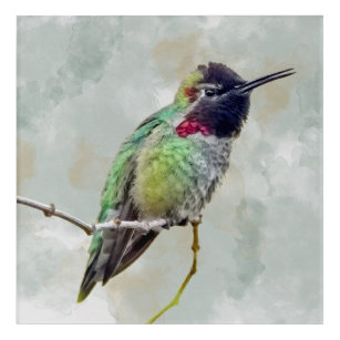 Waterverf Hummingbird Canvas afdrukken Acryl Muurkunst
