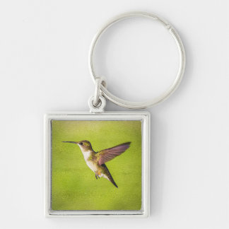 Waterverf Hummingbird Sleutelhanger