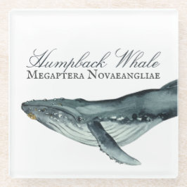 Waterverf Humpback Whale, Megaptera Novaeangliae Glazen Onderzetter