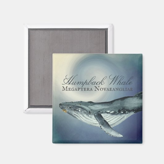 Waterverf Humpback Whale, Megaptera Novaeangliae Magneet (Voorkant / Achterkant)