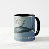 Waterverf Humpback Whale, Megaptera Novaeangliae Mok (Voorkant rechts)