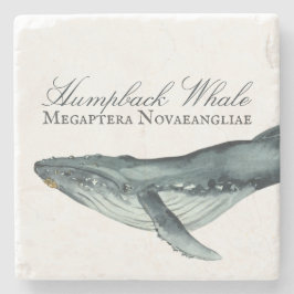 Waterverf Humpback Whale, Megaptera Novaeangliae Stenen Onderzetter