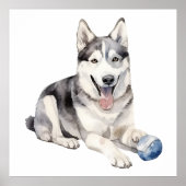 Waterverf Husky Dog Poster (Voorkant)