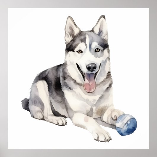 Waterverf Husky Dog Poster (Voorkant)