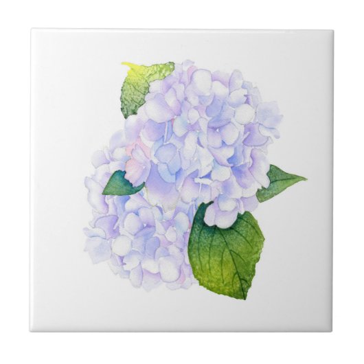 Waterverf Hydrangeas Tegeltje (Voorkant)