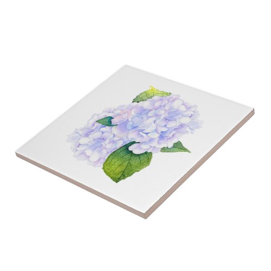 Waterverf Hydrangeas Tegeltje (Zijkant)