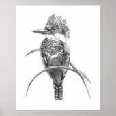 Waterverf IJsvogel Vogel Natuur Kunst Poster (Voorkant)