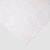 Waterverf Illustratie van een Pelican Decoupage Tissuepapier (Detail)