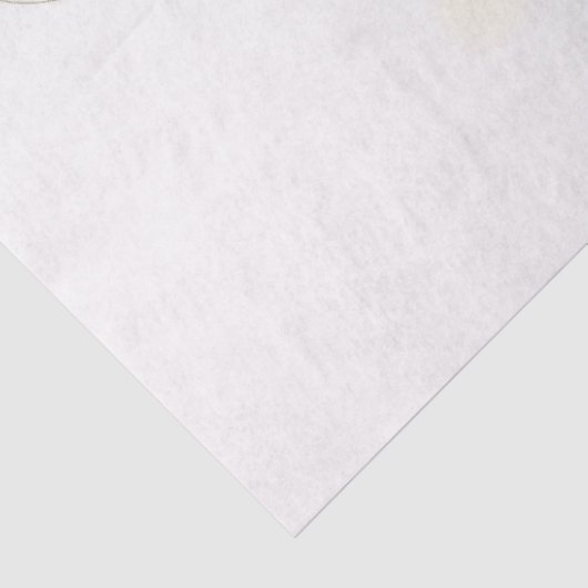 Waterverf Illustratie van een Pelican Decoupage Tissuepapier (Detail)