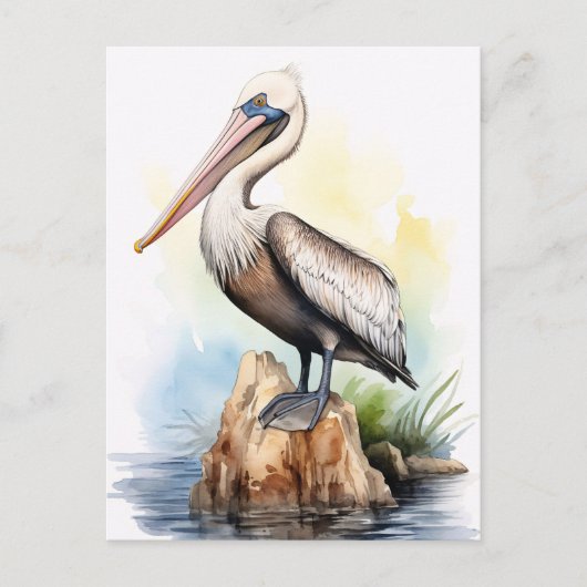 Waterverf illustratie van een pelikaan briefkaart (Voorkant)