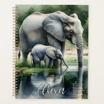 Waterverf illustratie van mama en Baby olifant