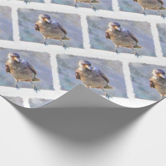 Waterverf Jackdaw Cadeaupapier (Hoek)