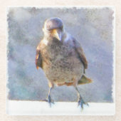Waterverf Jackdaw Glazen Onderzetter (Voorkant)