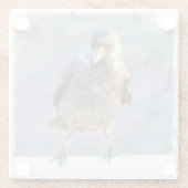 Waterverf Jackdaw Glazen Onderzetter (Achterkant)