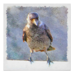 Waterverf Jackdaw Perfect Poster