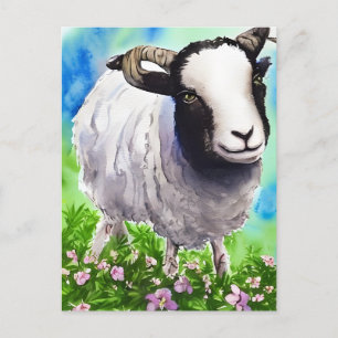 Waterverf Jacob Sheep Briefkaart