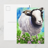 Waterverf Jacob Sheep Briefkaart (Voorkant / Achterkant)