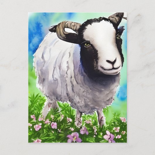 Waterverf Jacob Sheep Briefkaart (Voorkant)