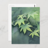 Waterverf Japanse apel Briefkaart (Voorkant / Achterkant)