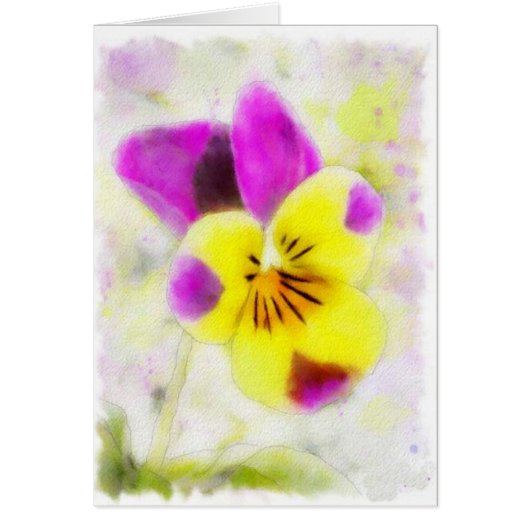 Waterverf Johnny Jump Up Viola Birthday Kaart (Voorkant)