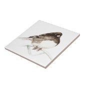 Waterverf Junco Vogelkunst Tegeltje (Zijkant)