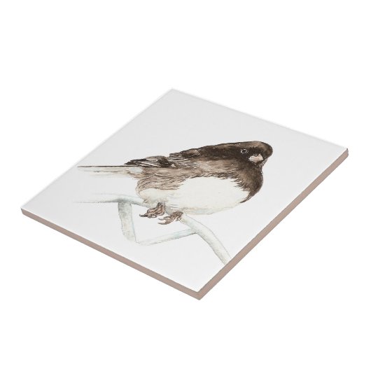 Waterverf Junco Vogelkunst Tegeltje (Zijkant)