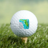 Waterverf Kaart van Florida Golfballen (Insitu Shirt)