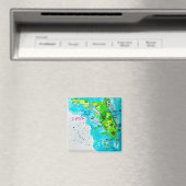 Waterverf Kaart van Florida Magneet (Insitu (Vaatwasser))