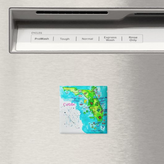 Waterverf Kaart van Florida Magneet (Insitu (Vaatwasser))