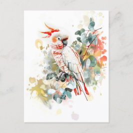 Waterverf Kakadu met rode dop Briefkaart