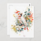 Waterverf Kakadu met rode dop Briefkaart (Voorkant / Achterkant)