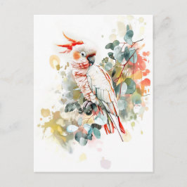 Waterverf Kakadu met rode dop Briefkaart