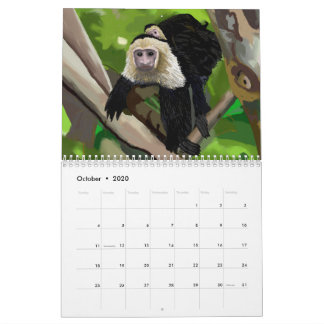 Waterverf kalender per eiland Art Bocas