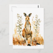 Waterverf kangoeroe in het weiland briefkaart (Voorkant / Achterkant)
