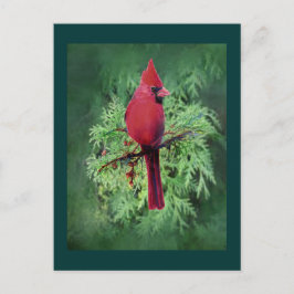 Waterverf Kardinaal Bird Cedar Tree Natuur Art Briefkaart
