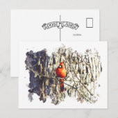 Waterverf kardinaal briefkaart (Voorkant / Achterkant)