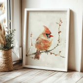  Waterverf kardinaal op tak Poster
