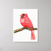 Waterverf kardinale vogels canvas afdruk (Voorkant)