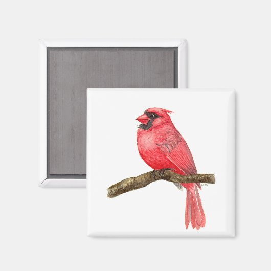 Waterverf kardinale vogels magneet (Voorkant / Achterkant)