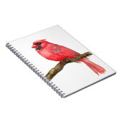 Waterverf kardinale vogels notitieboek (Rechterzijde)