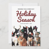 Waterverf katten Gesponnen met kerstmis Feestdagenkaart (Voorkant)