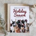 Waterverf katten Spinnen kerstfeest Feestdagenkaart<br><div class="desc">Verstuur vakantiegroeten met dit kattethematisch vakantiebriefkaart. Het bevat een schattige groep katten met feestelijke petten. Personaliseer door namen,  jaar,  bericht en foto toe te voegen. Dit briefkaart is perfect voor kattenliefhebbers.</div>