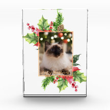 Waterverf kerstgroen met poinsettia