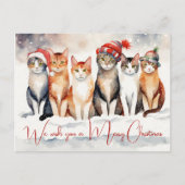 Waterverf Kerstkatten van Dierenkliniek Feestdagenkaart (Voorkant)