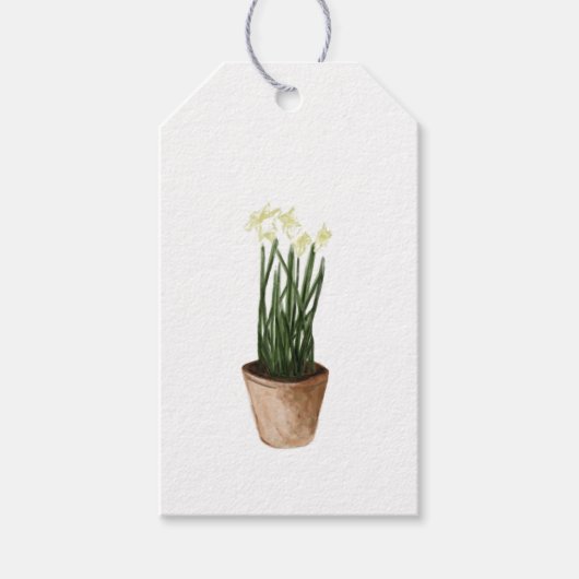 Waterverf Kerstmis Plant Paperwhites Cadeaulabel (Voorkant)