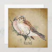 Waterverf Kestrel Falcon Wildlife Bird Art (Voorkant / Achterkant)