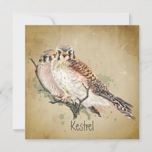 Waterverf Kestrel Falcon Wildlife Bird Art (Voorkant)